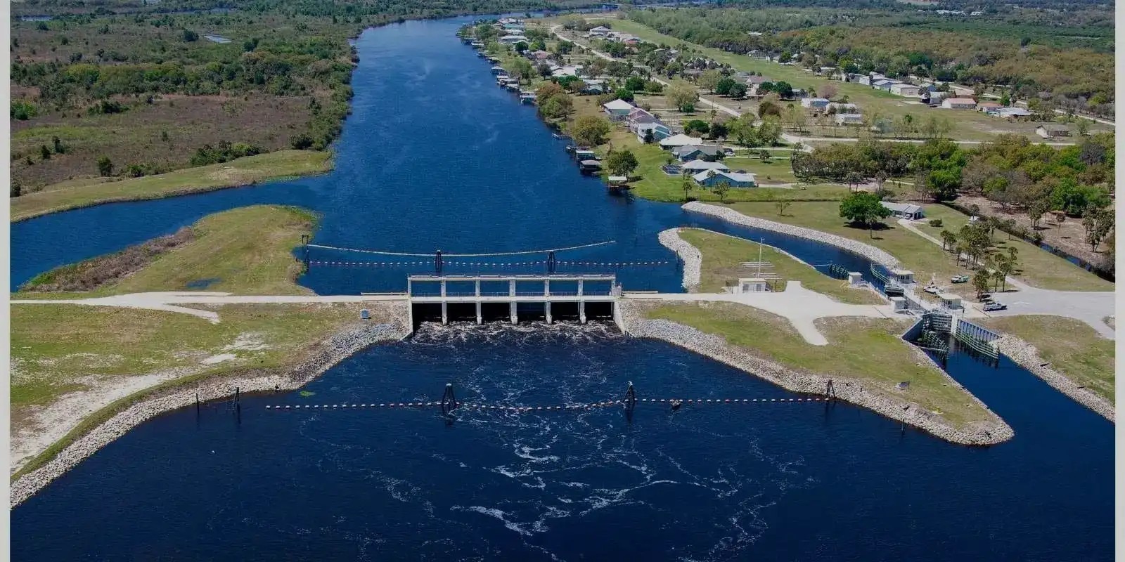 Dalia M. Vazquez | Kissimmee