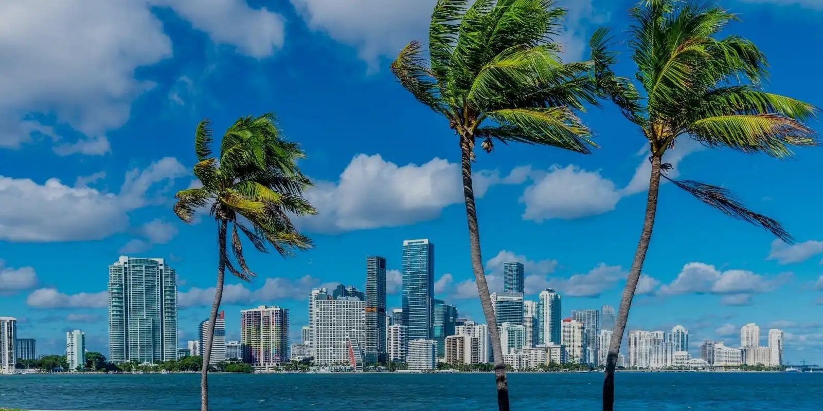 Dalia M. Vazquez | Miami